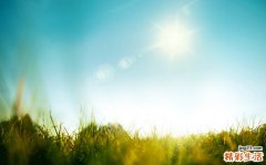 脂肪肝 其实是种“粗腰病”