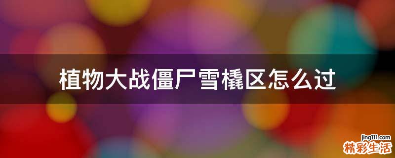 植物大战僵尸雪橇区怎么过