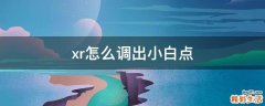 xr怎么调出小白点