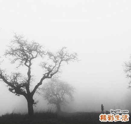 为什么会有儿童白血病