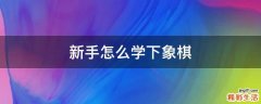 新手怎么学下象棋