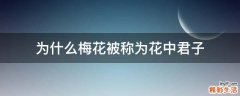 为什么梅花被称为花中君子