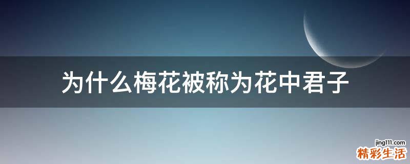 为什么梅花被称为花中君子