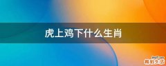 虎上鸡下什么生肖
