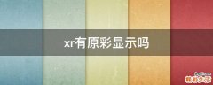 xr有原彩显示吗