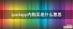 ipadapp内购买是什么意思
