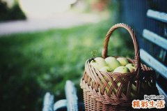 苍耳子中毒临床病例