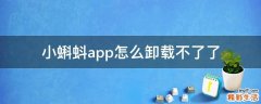 小蝌蚪app怎么卸载不了了