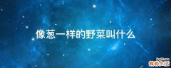 像葱一样的野菜叫什么