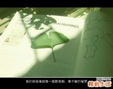 4 椿白皮