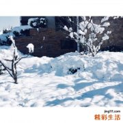 中年女性经常头痛是更年期来临征兆