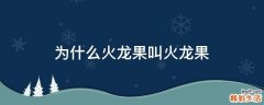 为什么火龙果叫火龙果