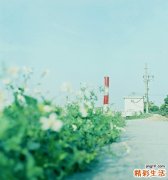 夏季海饮冰啤酒当心患上“啤酒心”