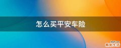 怎么买平安车险