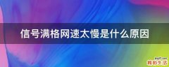 信号满格网速太慢是什么原因