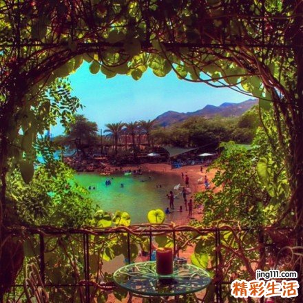 14 蟾蜍