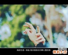2 面神经损伤修复机制