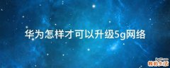 华为怎样才可以升级5g网络