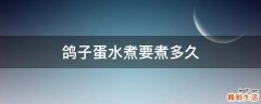 鸽子蛋水煮要煮多久