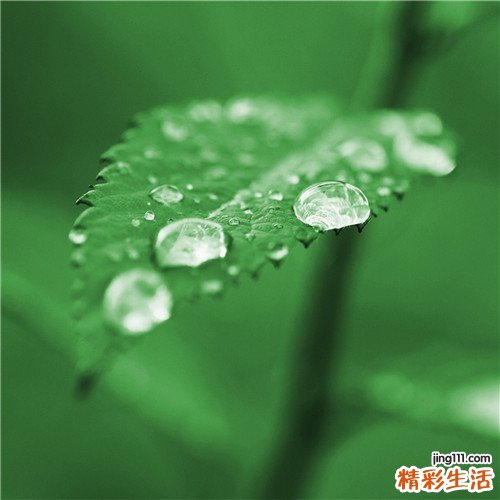 食物中毒对人体的危害