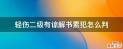 轻伤二级有谅解书累犯怎么判