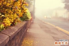 糖尿病患者的胃容易“罢工”