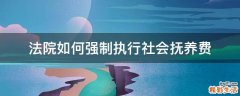 法院如何强制执行社会抚养费