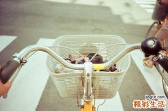 行经泄泻是什么