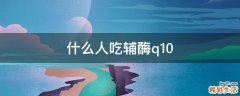 什么人吃辅酶q10