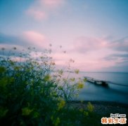 秋季吃什么润燥