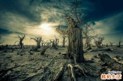 颅脑损伤的健康教育