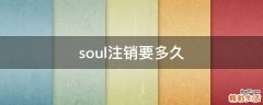 soul注销要多久