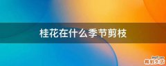 桂花在什么季节剪枝