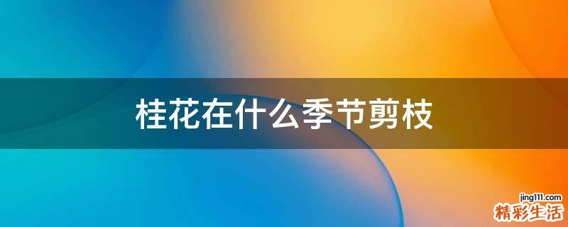 桂花在什么季节剪枝