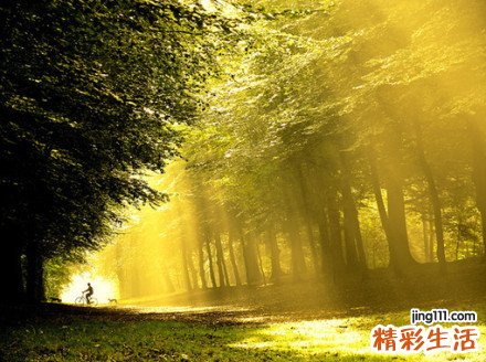 美：呼气检测有助于准确诊断早期肺癌