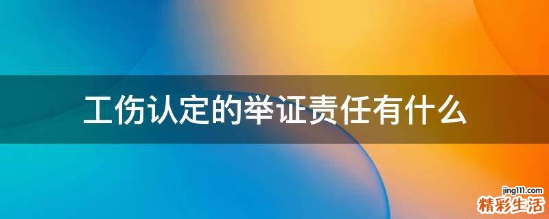 工伤认定的举证责任有什么