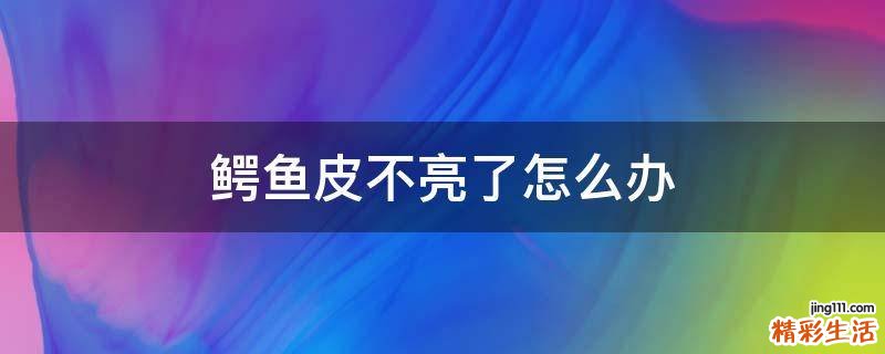 鳄鱼皮不亮了怎么办