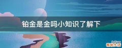 铂金是金吗小知识了解下
