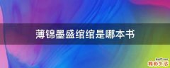 薄锦墨盛绾绾是哪本书
