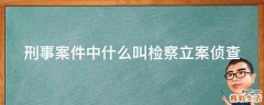 刑事案件中什么叫检察立案侦查