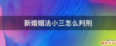 新婚姻法小三怎么判刑