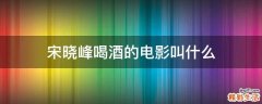 宋晓峰喝酒的电影叫什么