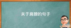 关于肩膀的句子