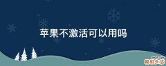 苹果不激活可以用吗