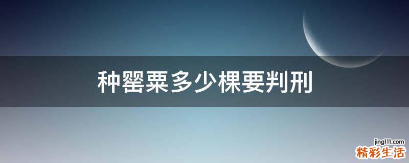 种罂粟多少棵要判刑