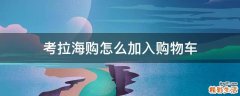 考拉海购怎么加入购物车