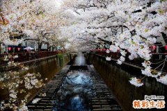 共济失调病因