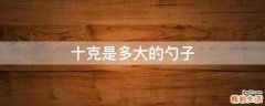 十克是多大的勺子