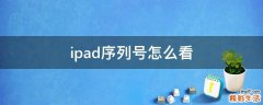 ipad序列号怎么看