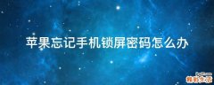 苹果忘记手机锁屏密码怎么办